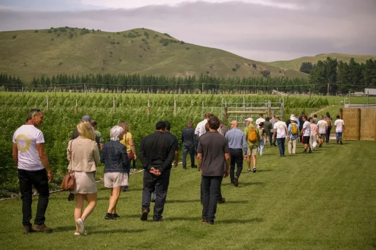 A group of men and women walking away from the camera through a field with a large green hill in the background.